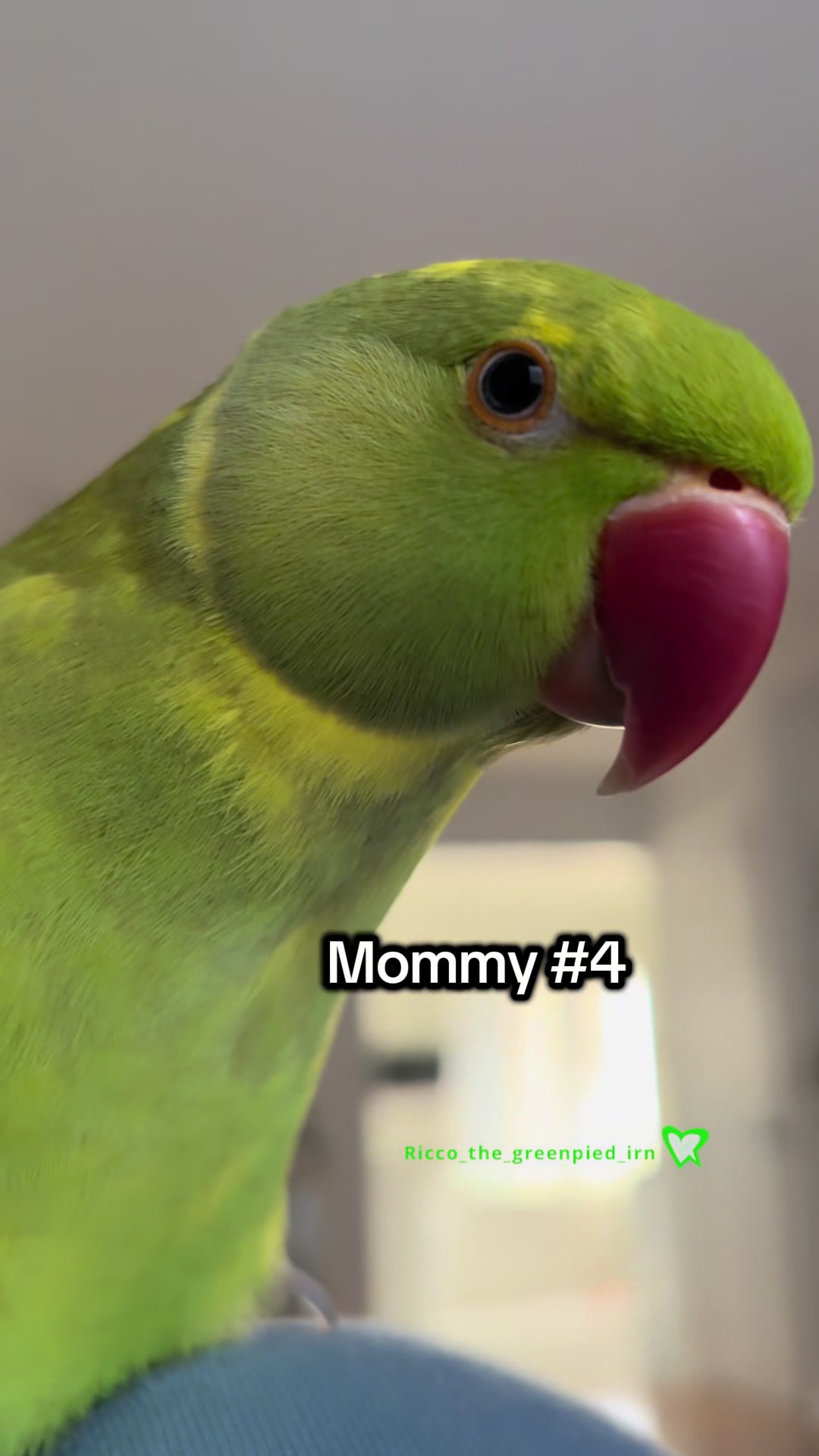 @Ricco