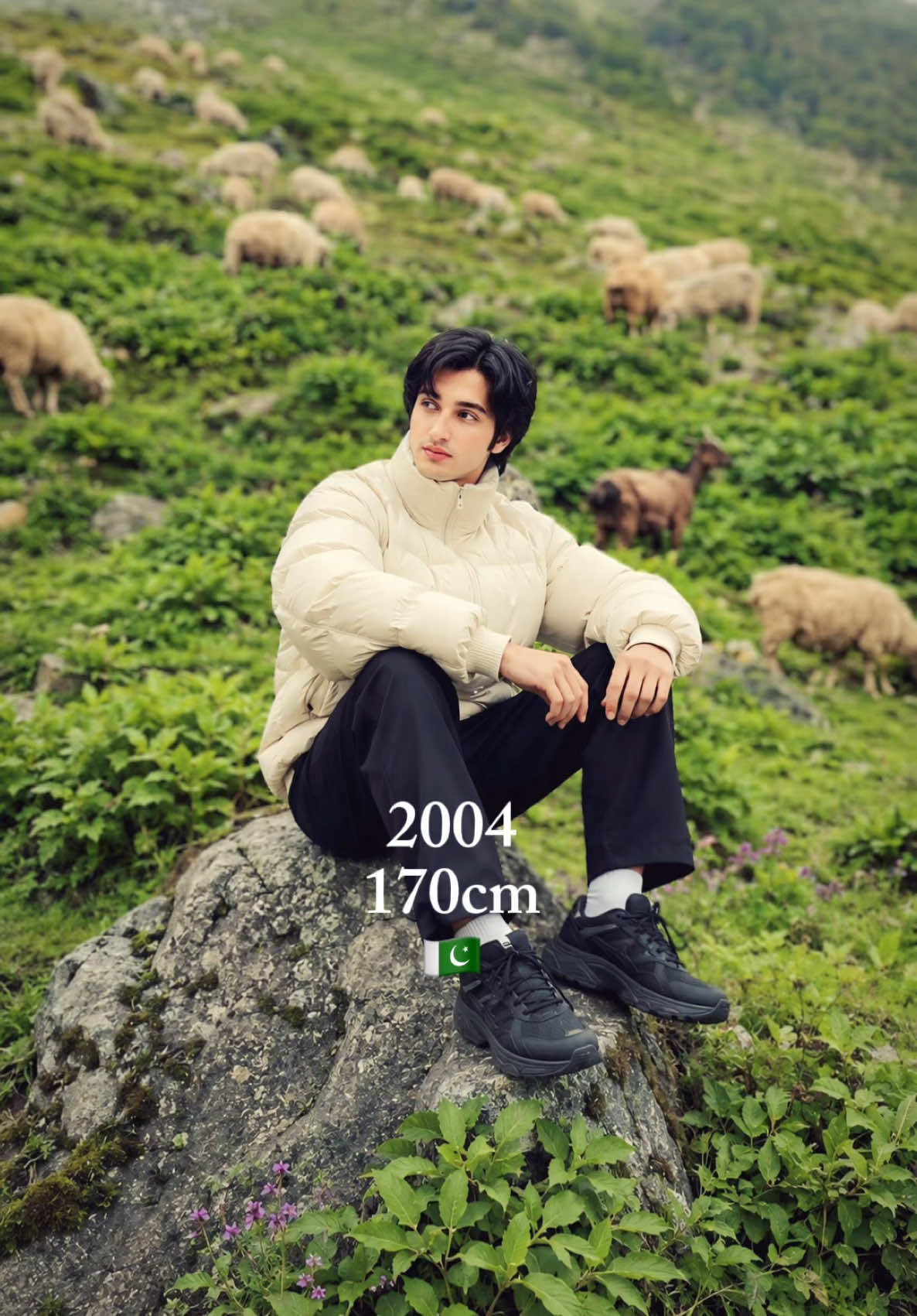 @Mudassar khan