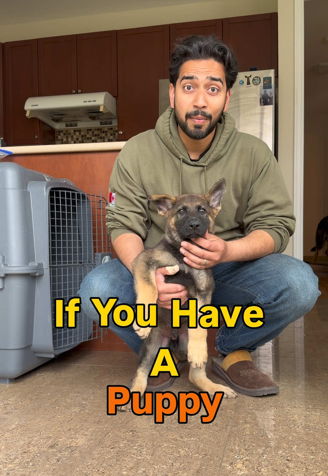 @Noble K9