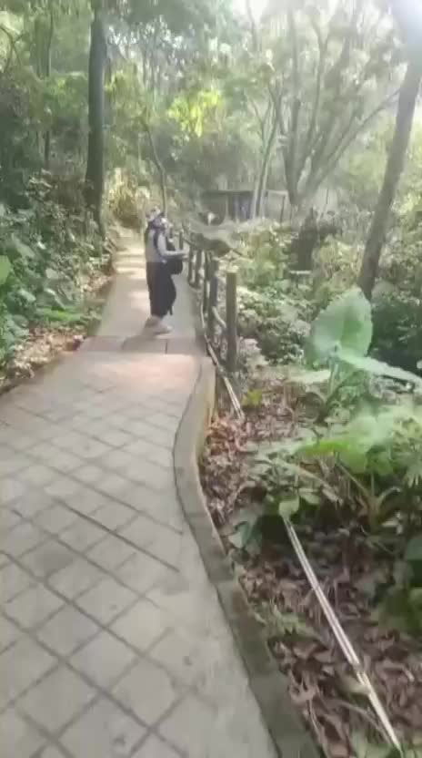@jf17t