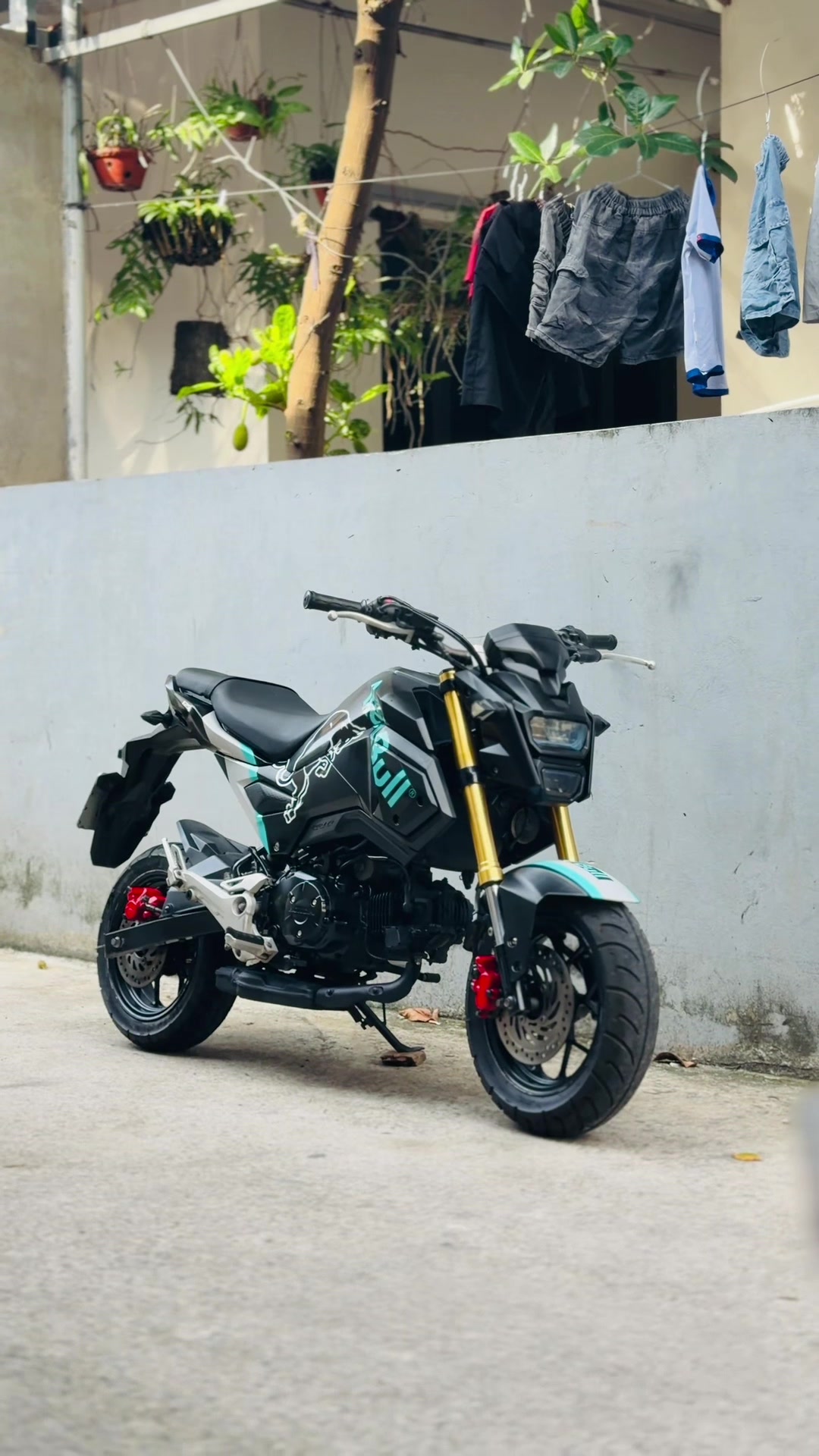 @kiên motor ( Hà Nội ) ✅