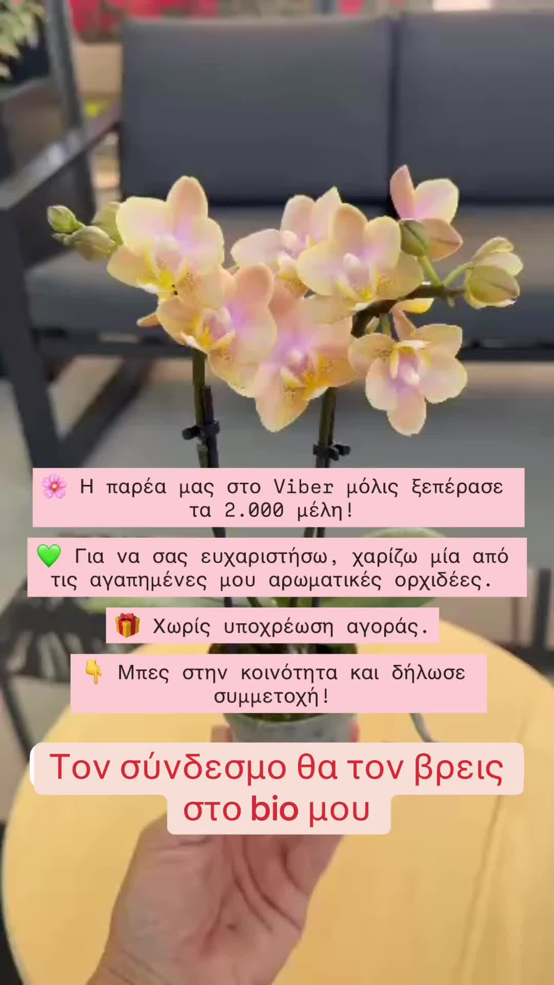@All About Orchids