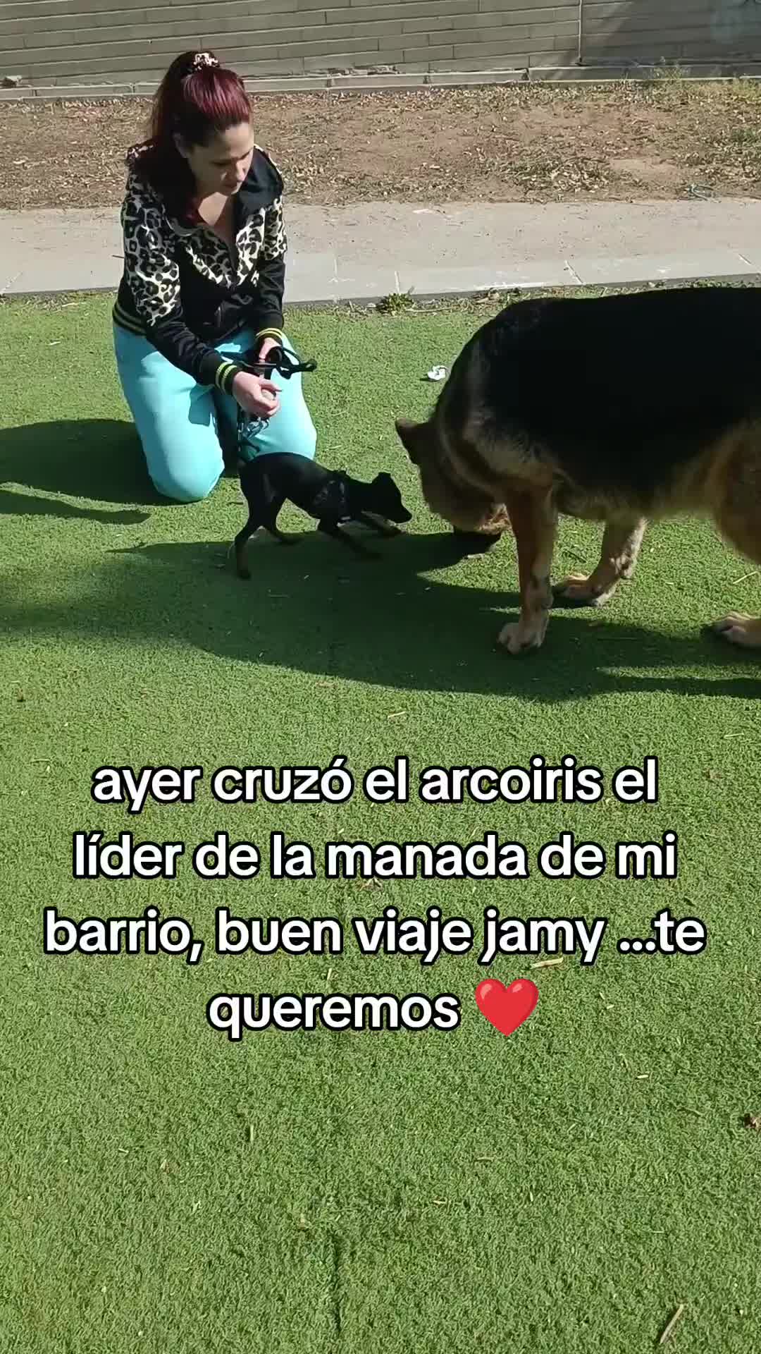 @Cuca