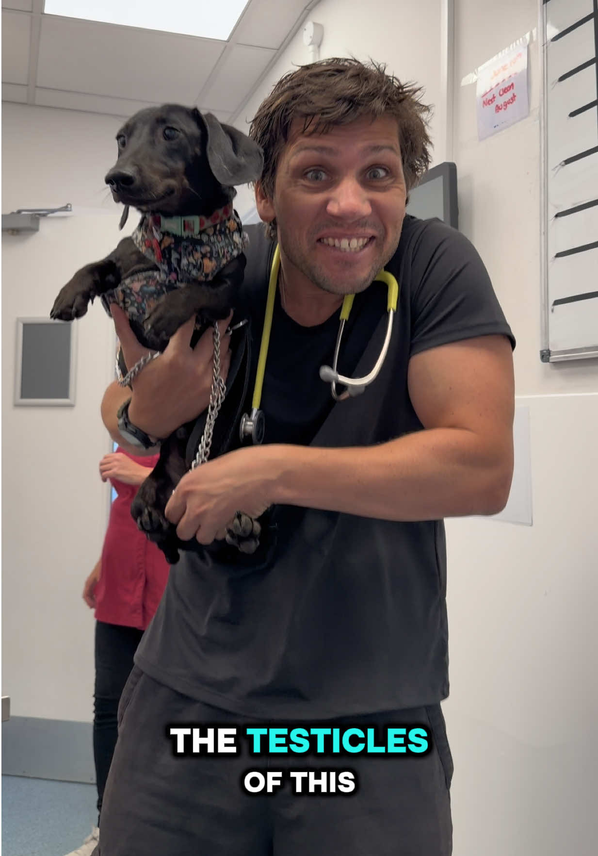 @Tomasthevet