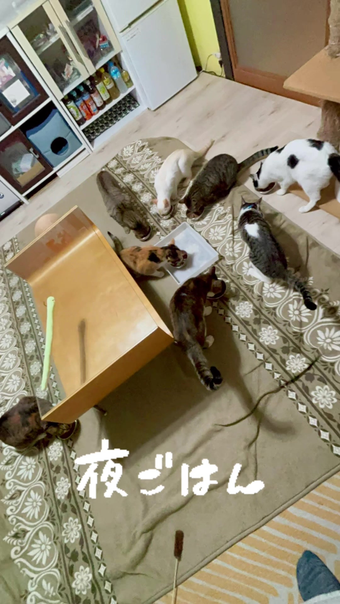 @らっくら家