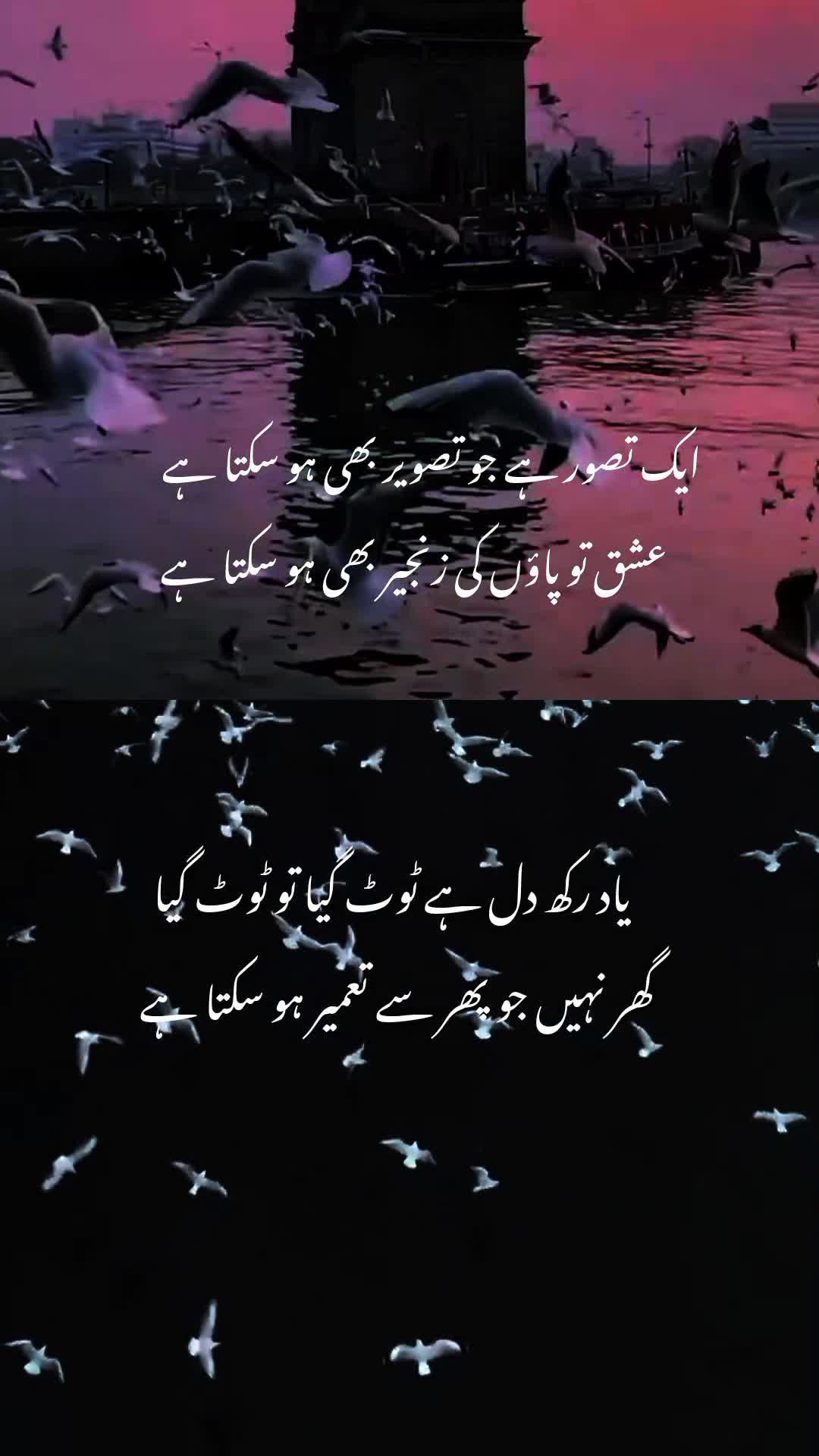 @Mughal writes