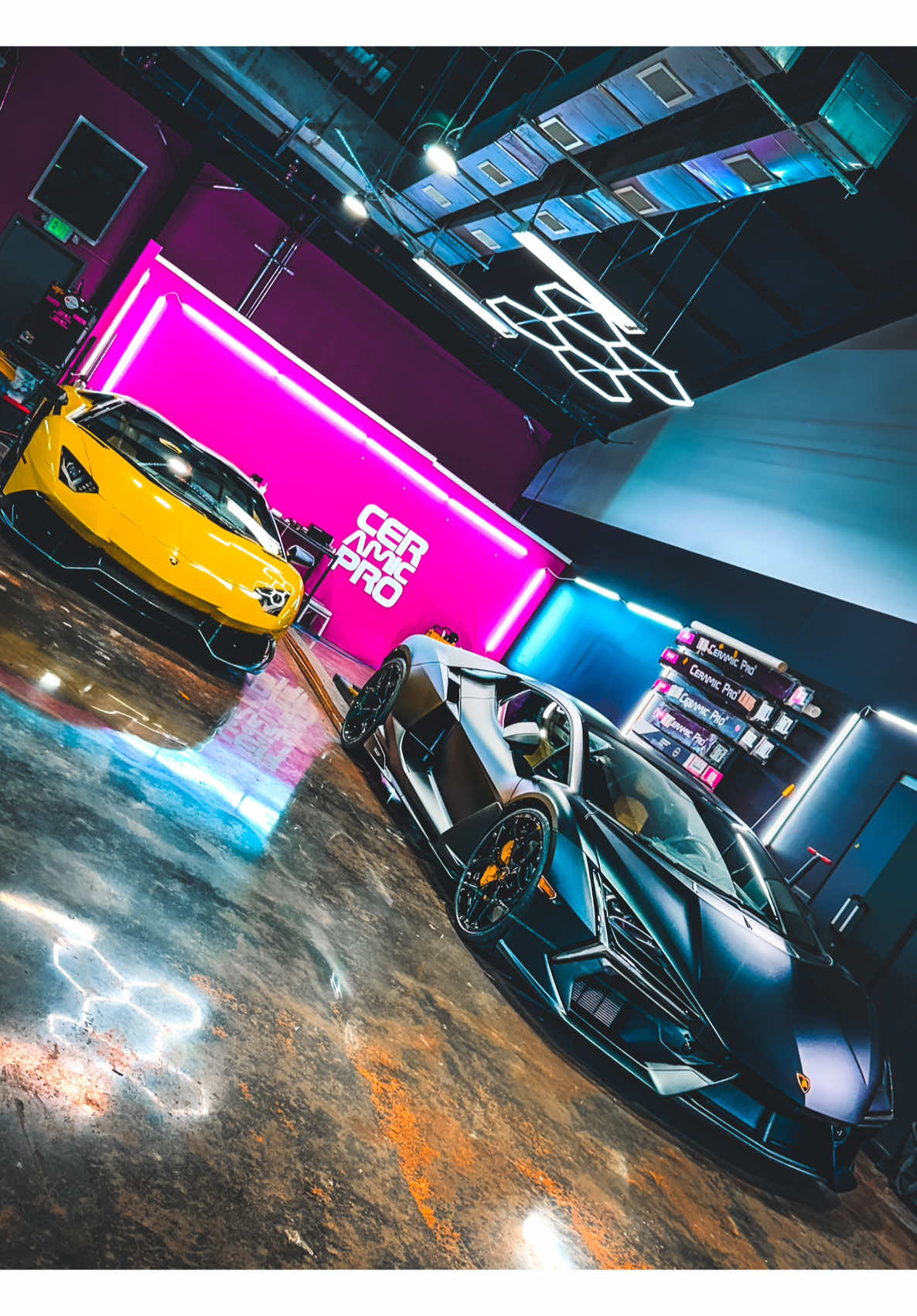 @Protektd