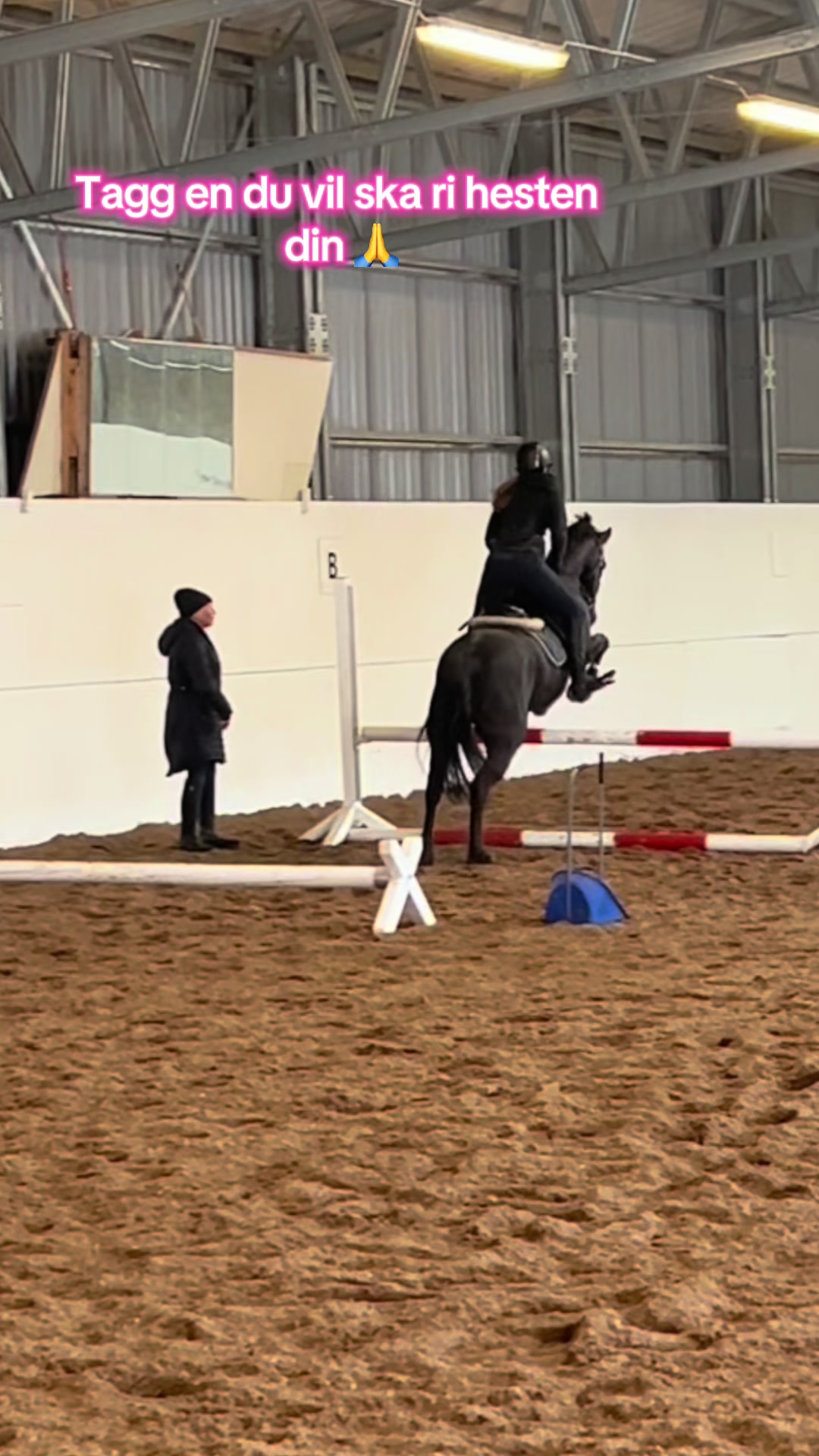 @mathilde 💕🐴