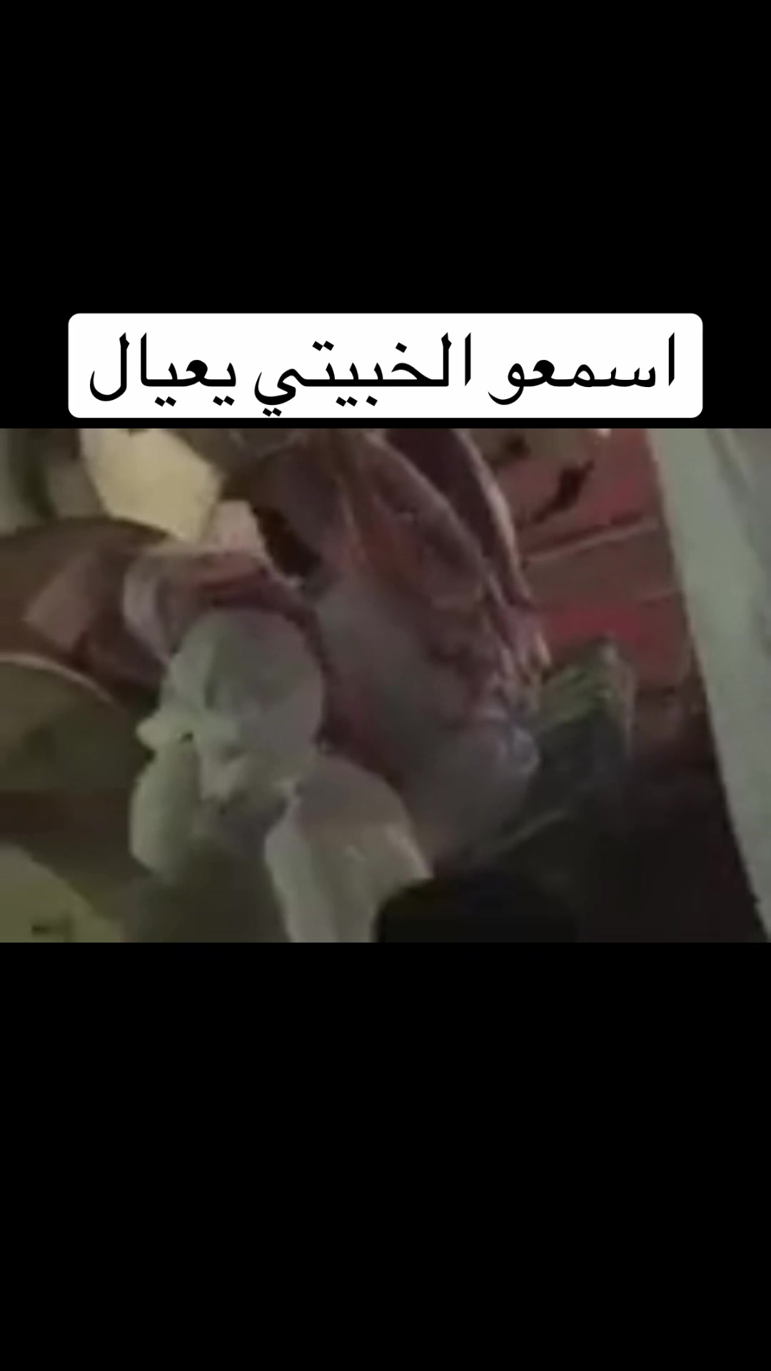 @هاوي الفن الشعبي🇸🇦🎼