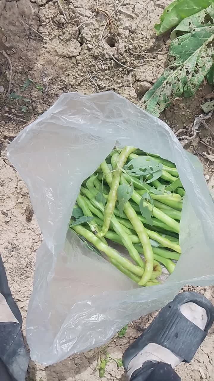 @تاوناتي في الغربة
