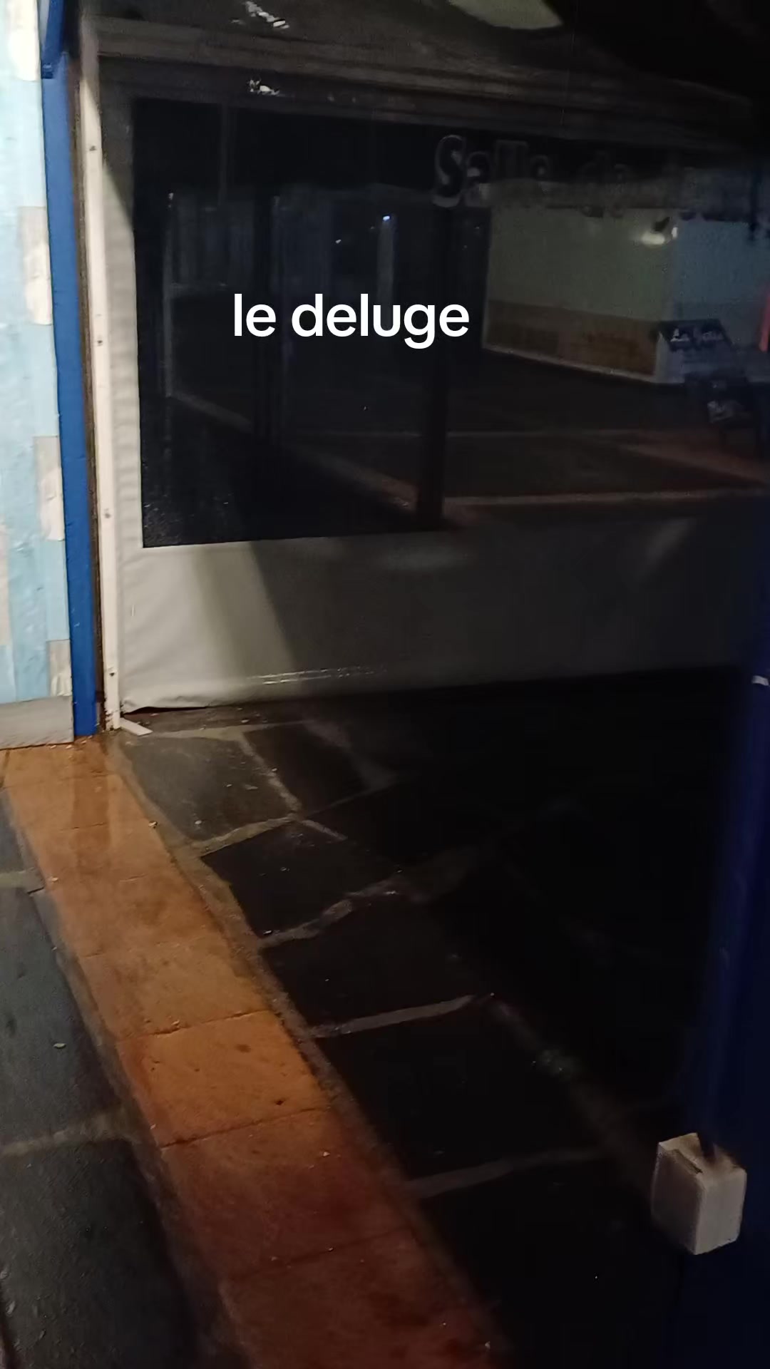 @chevelu du gard 2