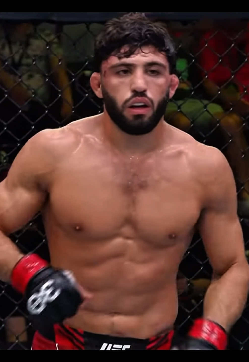 @kentizmma 🕷️