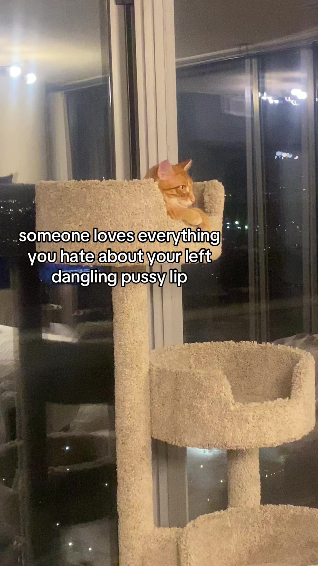 @your dads landlord
