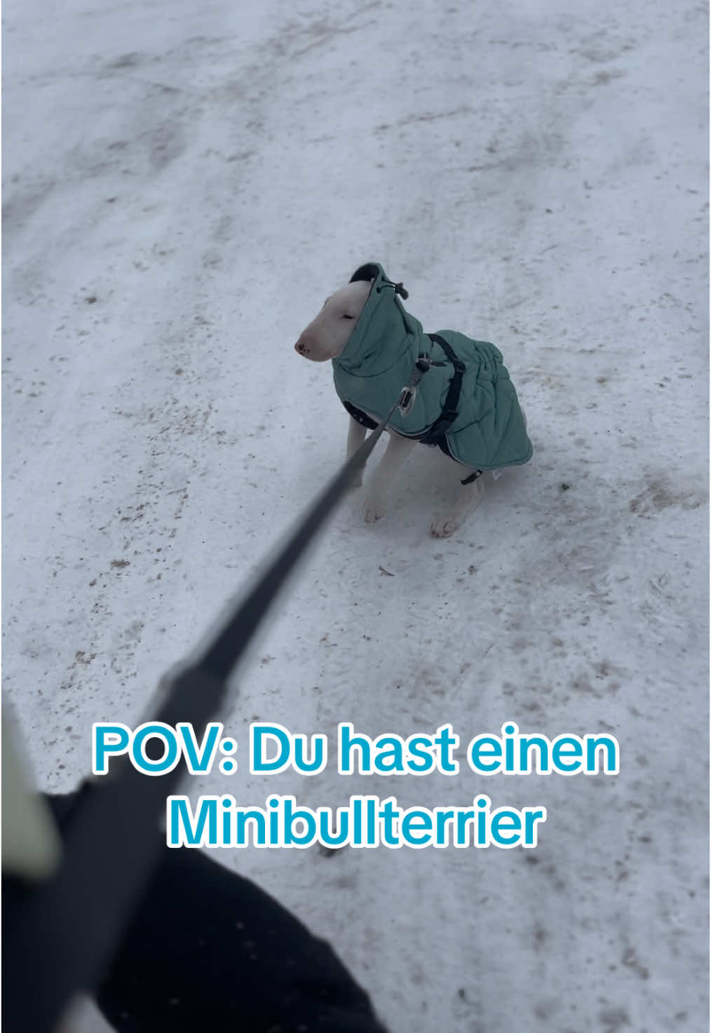 @Rumpelstilzchen