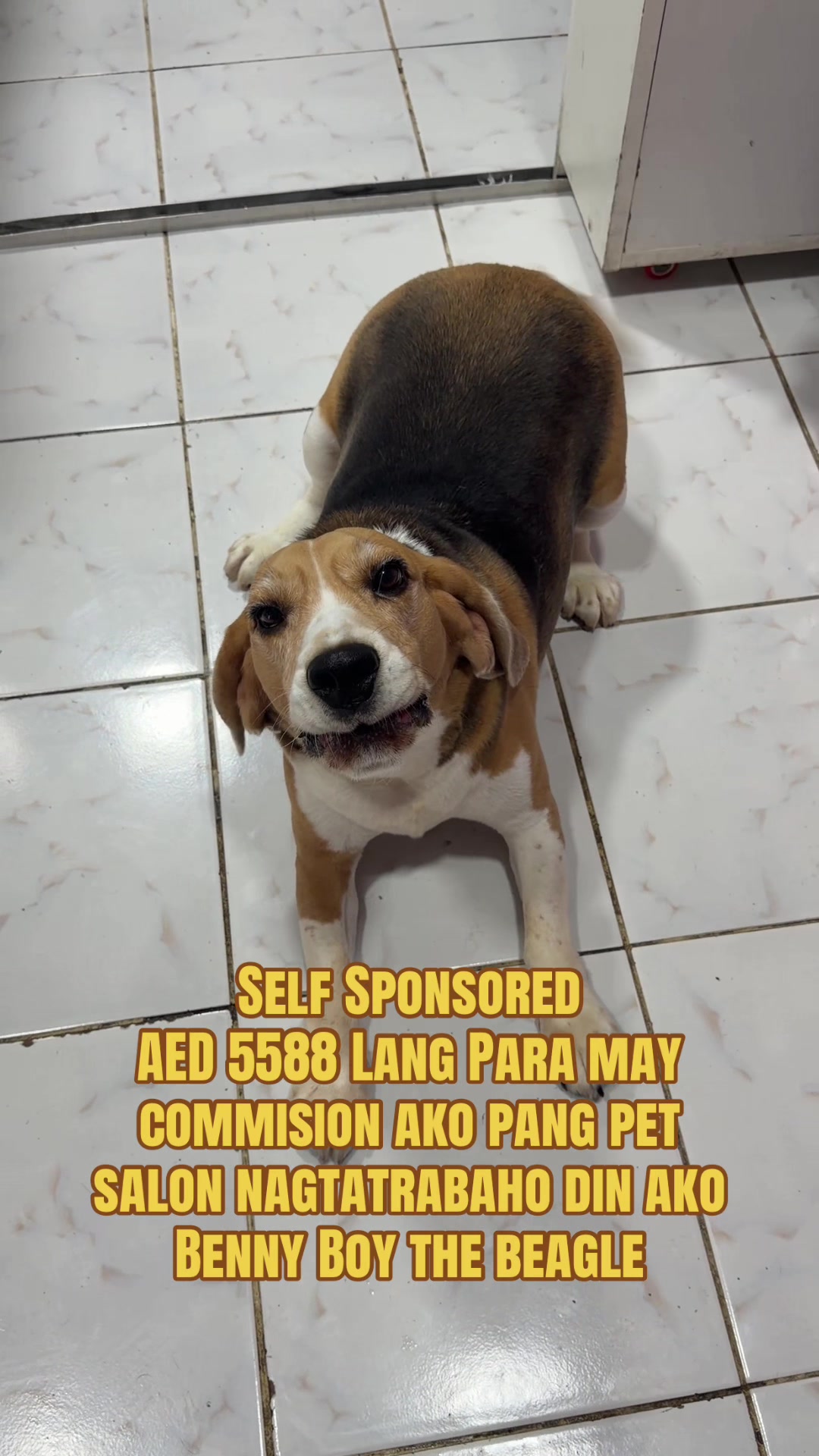@YES PINOY PRO GLOBAL