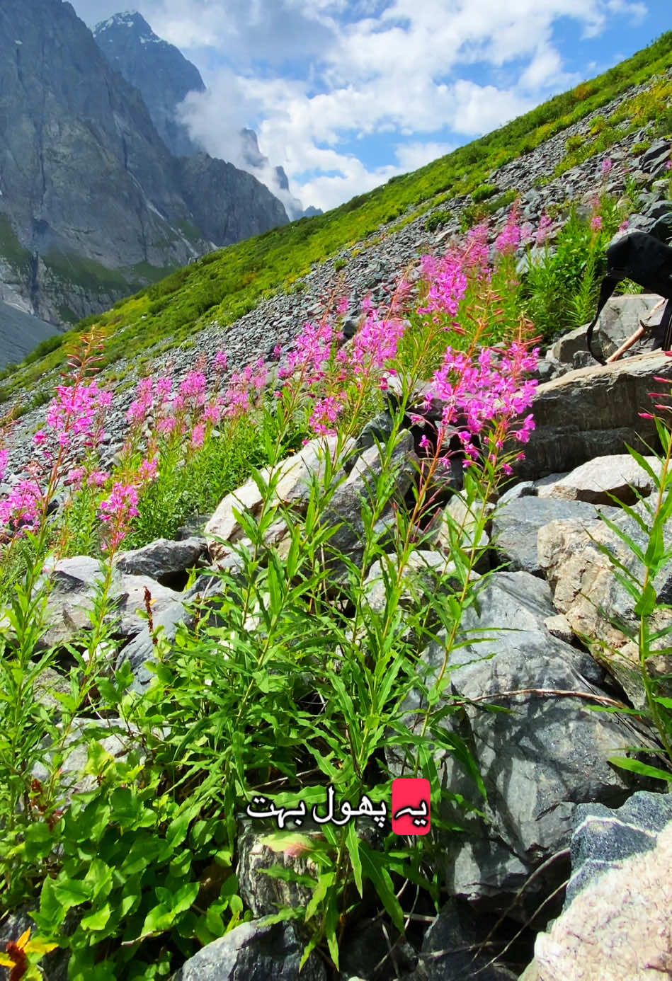 @mishaqoutdoor