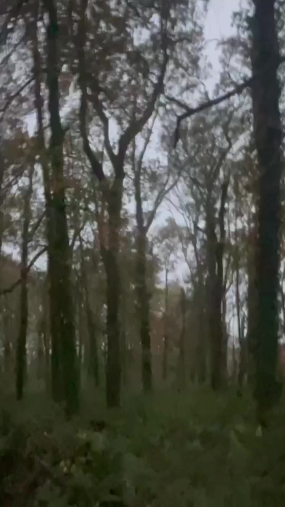 @ㅤㅤㅤㅤㅤㅤㅤ