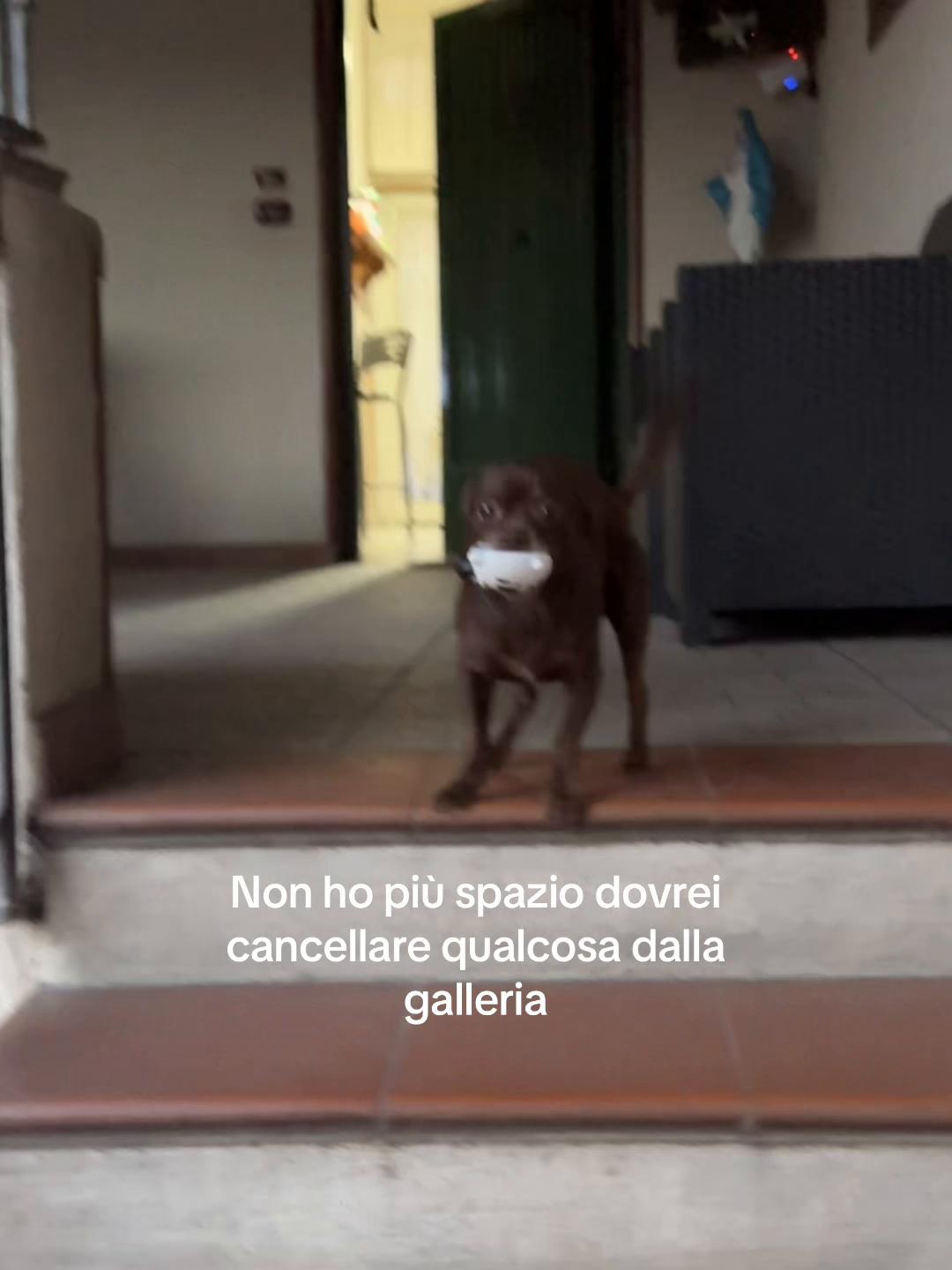 @R🫐