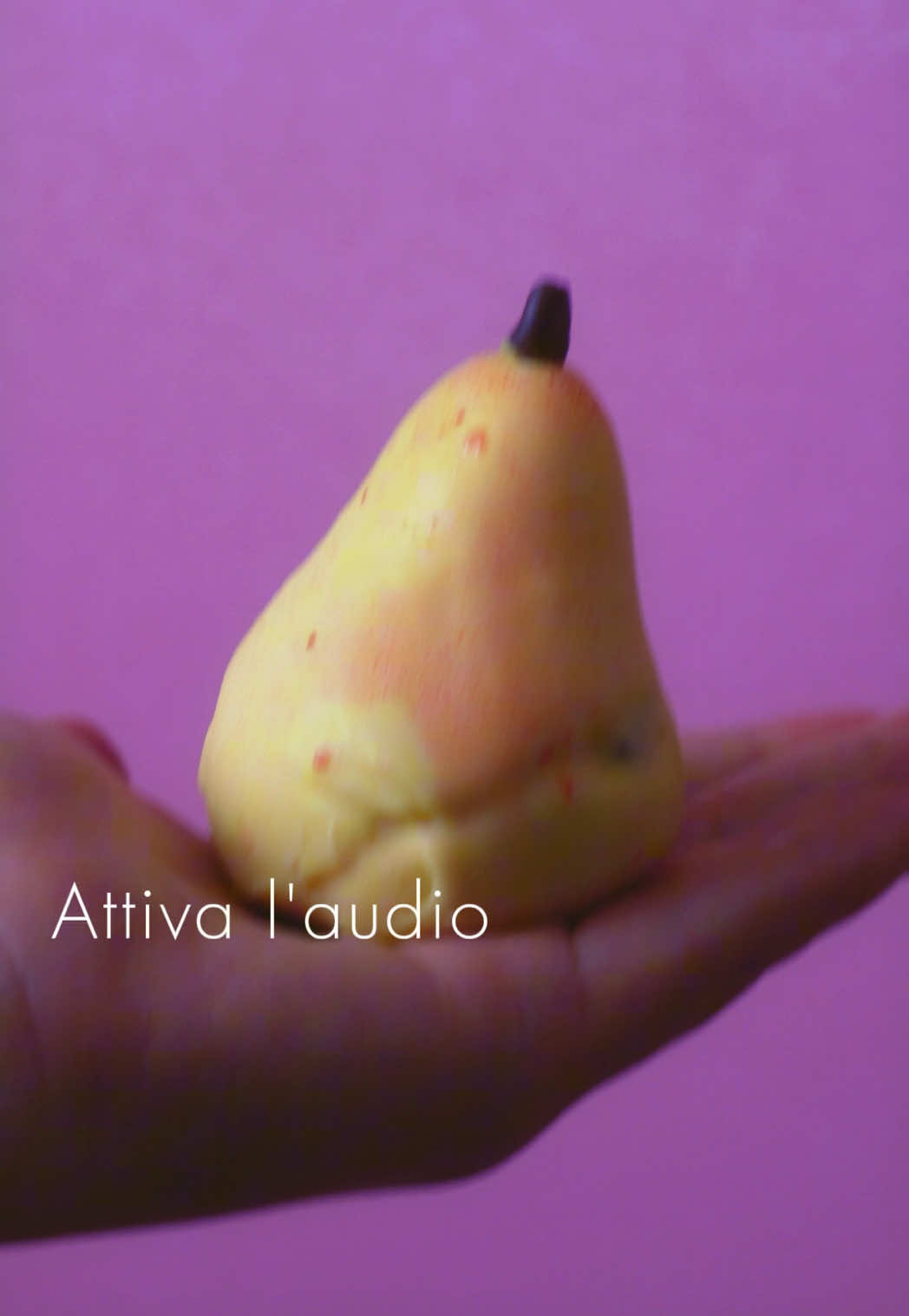 @pasticceria_ranieri