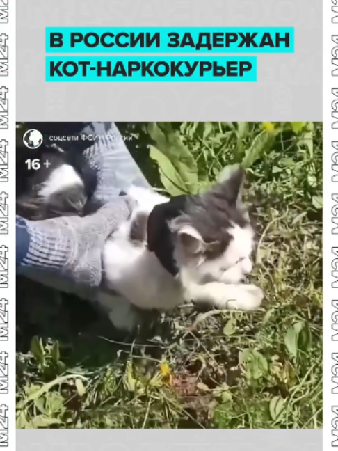 @Москва 24