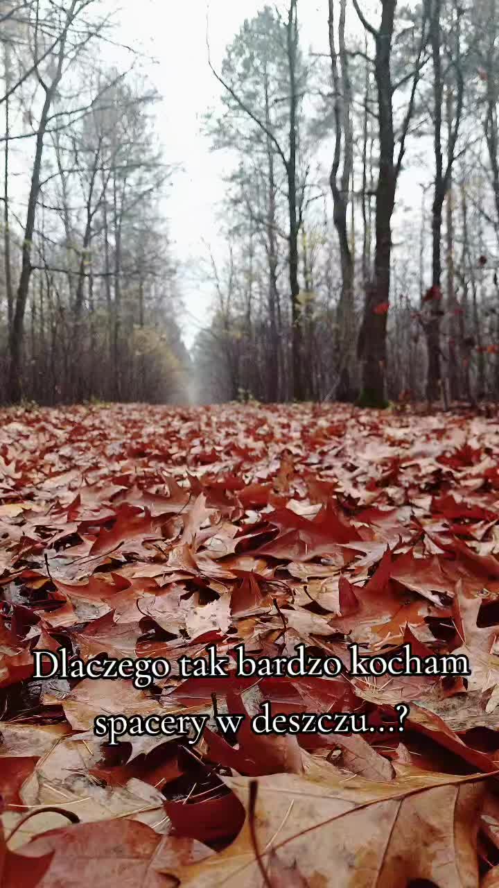 @zkopytaiłap