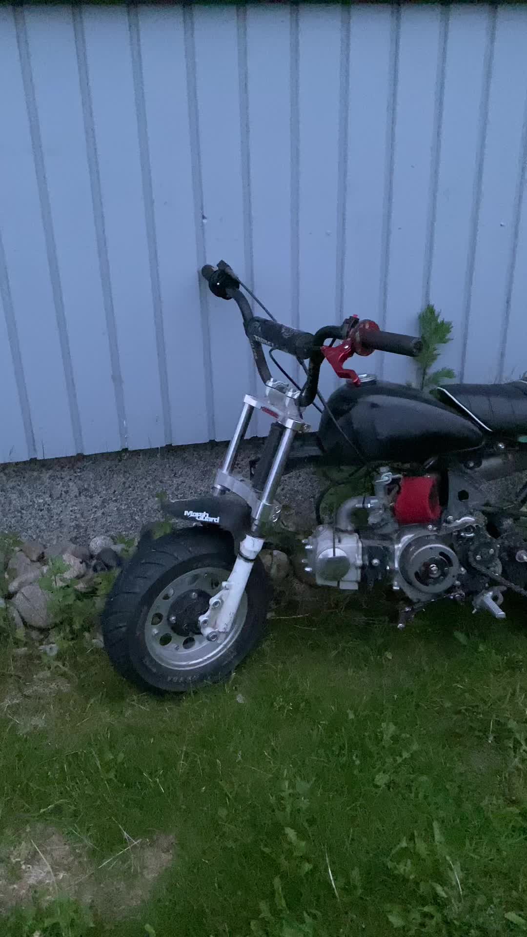 @86๐ฟ๐พ๐ป๐ป๐_๐๐ถ๐๐ถ
