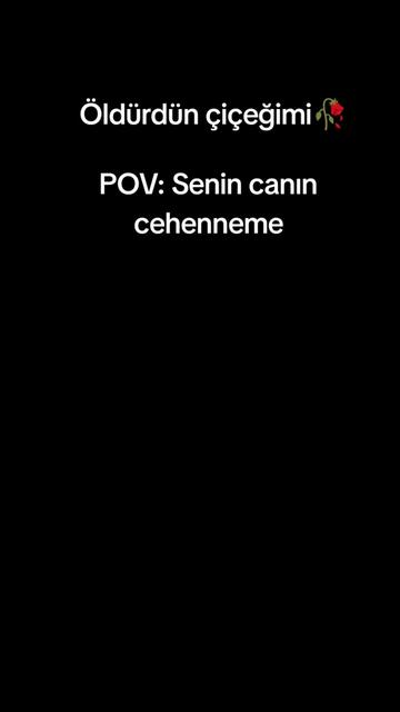 @💛🦁TERMİNATÖR_80❤️🦁