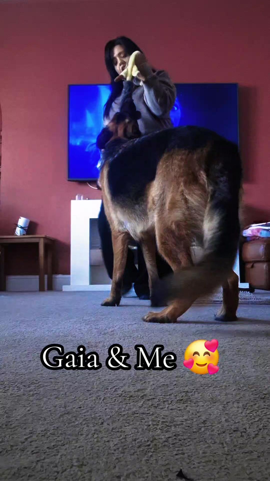 @The Dog Mother Lanarkshire