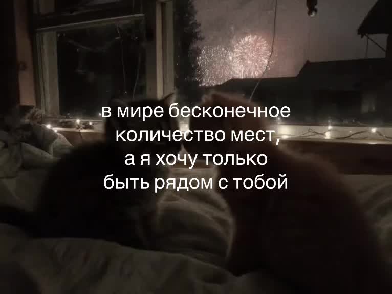 @♡‧₊˚softtiquiet˚₊‧♡