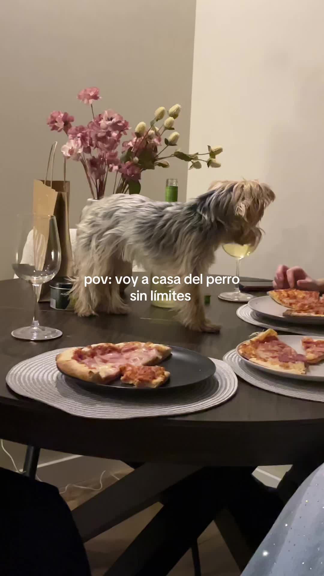 @Marta Insua