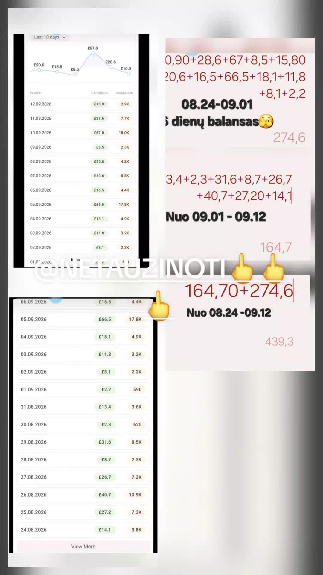@TikTok'o gavarilka "Nuotykiai"