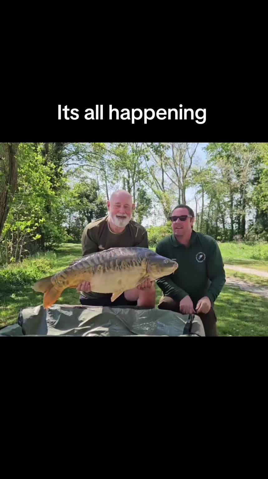 @scaley waters