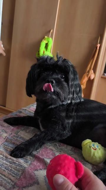 @🐦Eva Maria Vráblíková 🐕