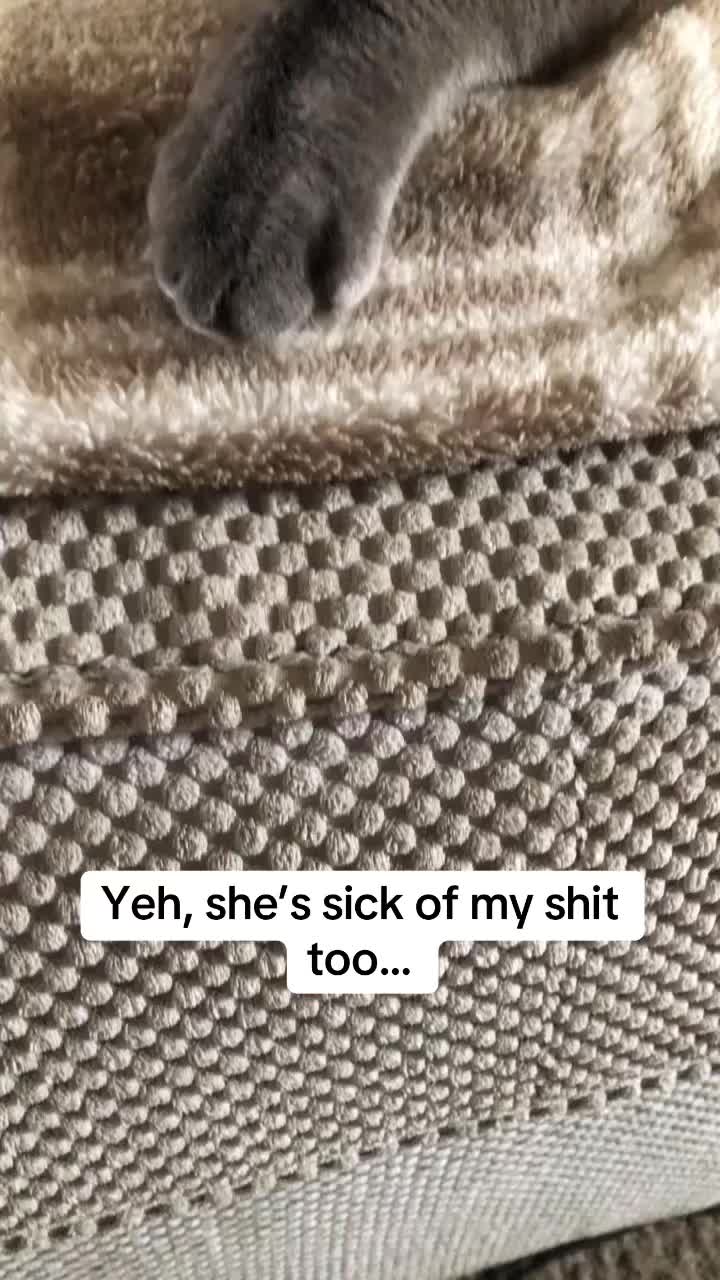 @Sianny111