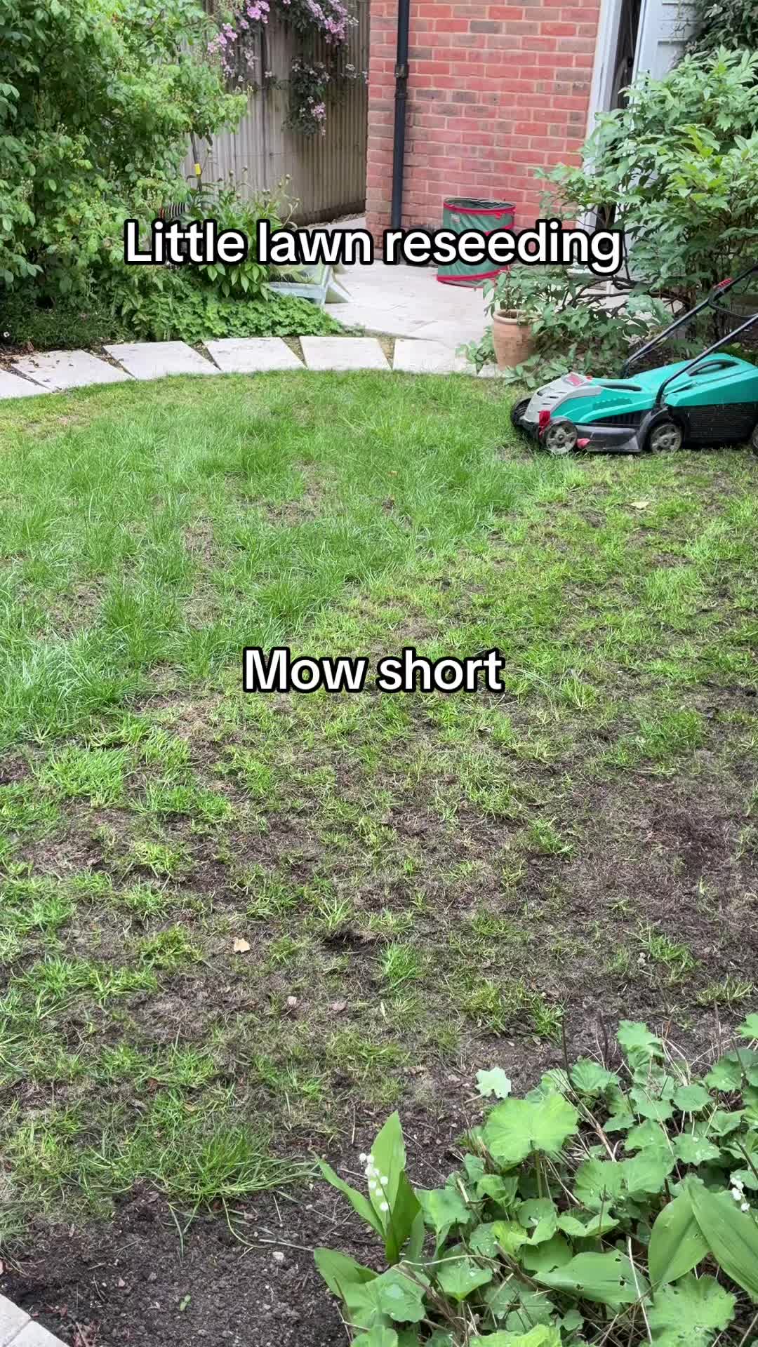 @All The Small Plants