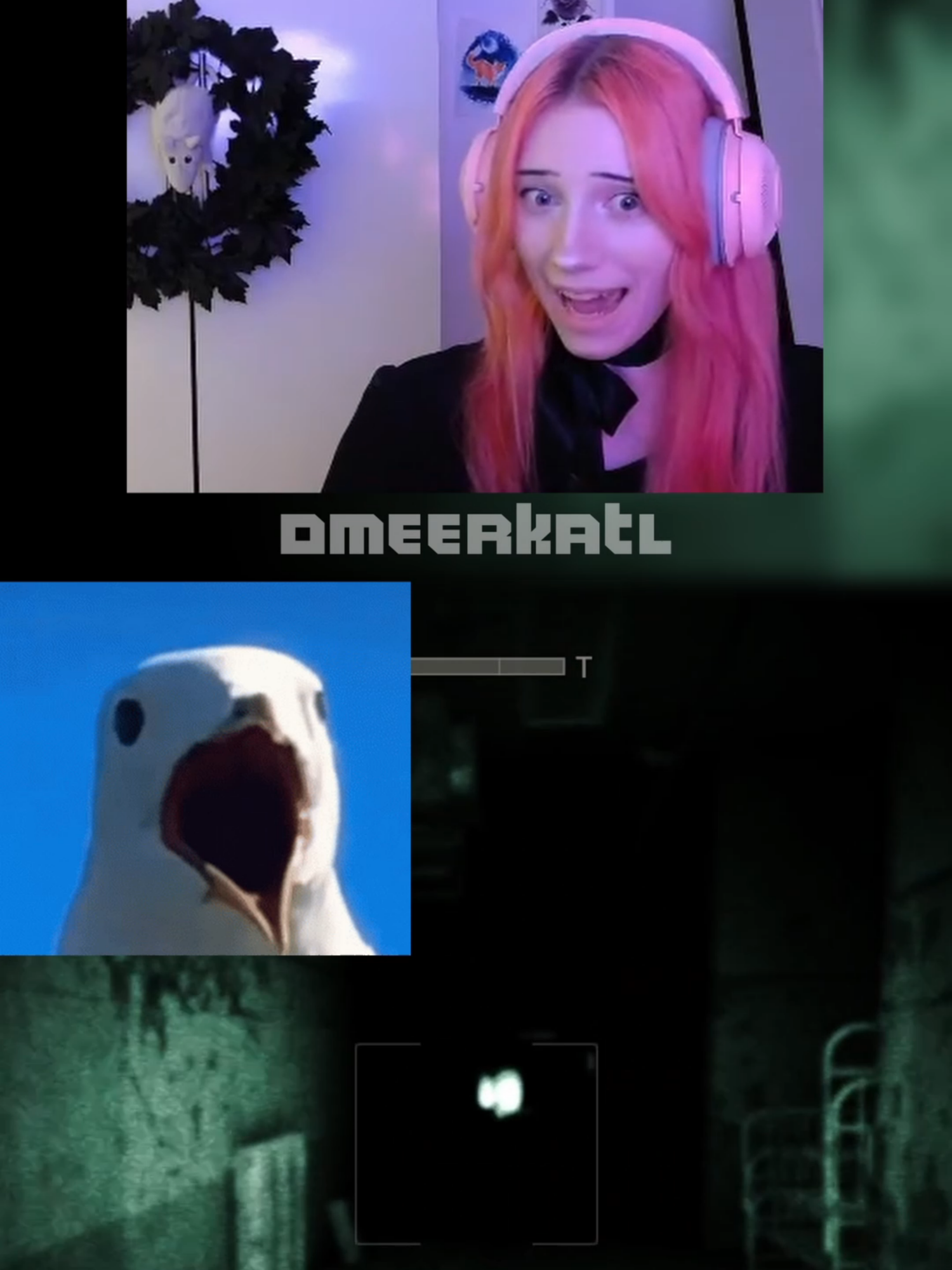 @Meerkat
