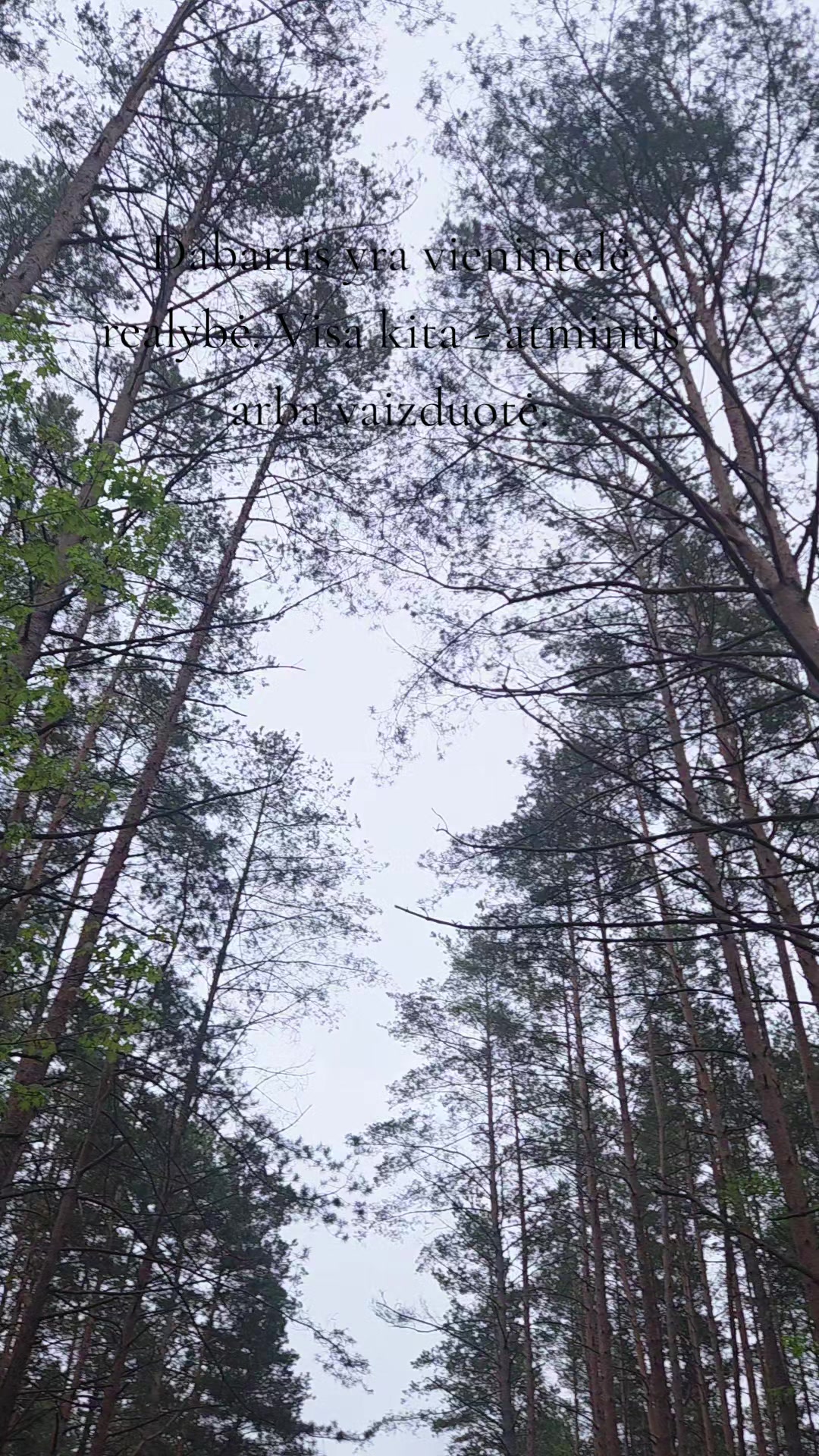 @R om y