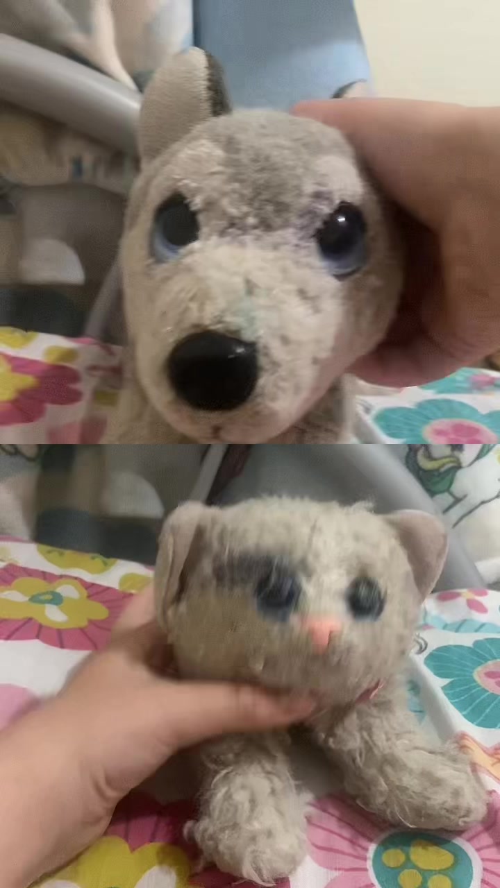 @Marla.woof woof