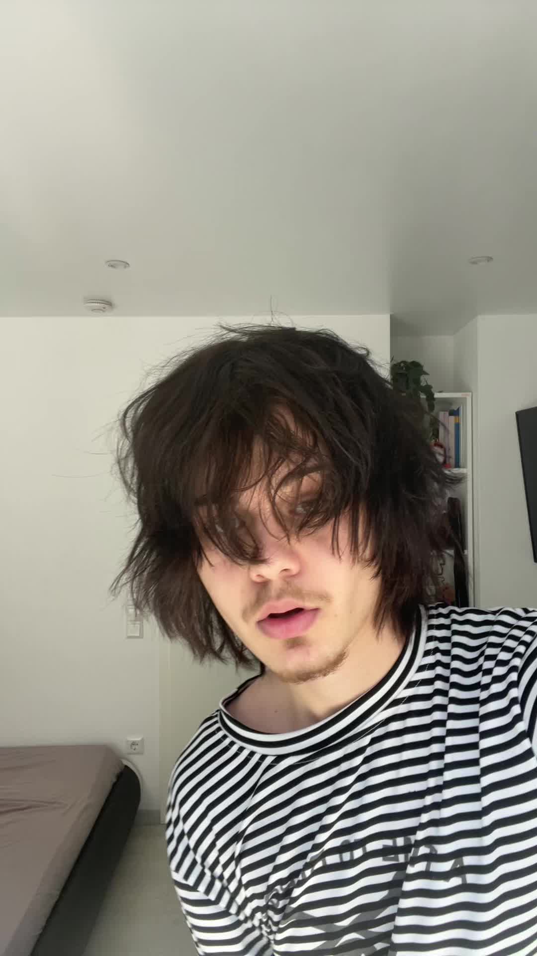 @shicedd