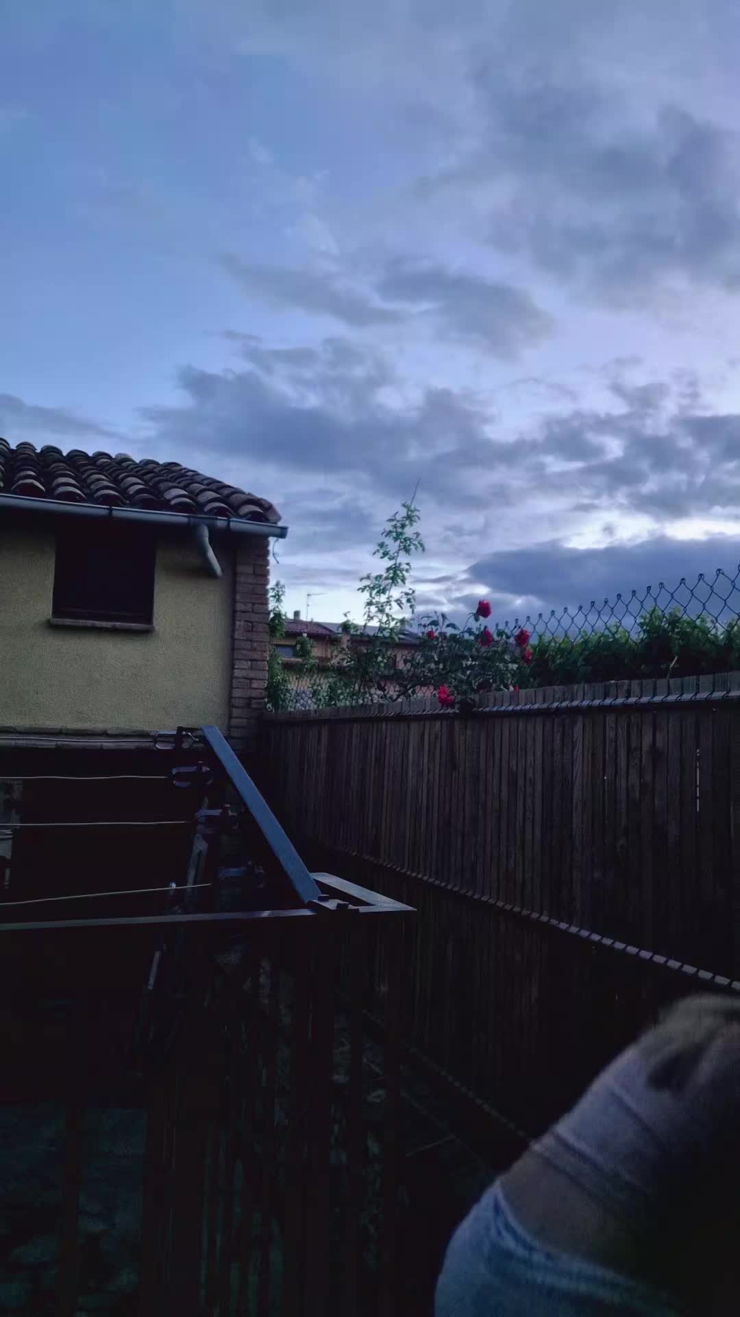 @sara_hb02