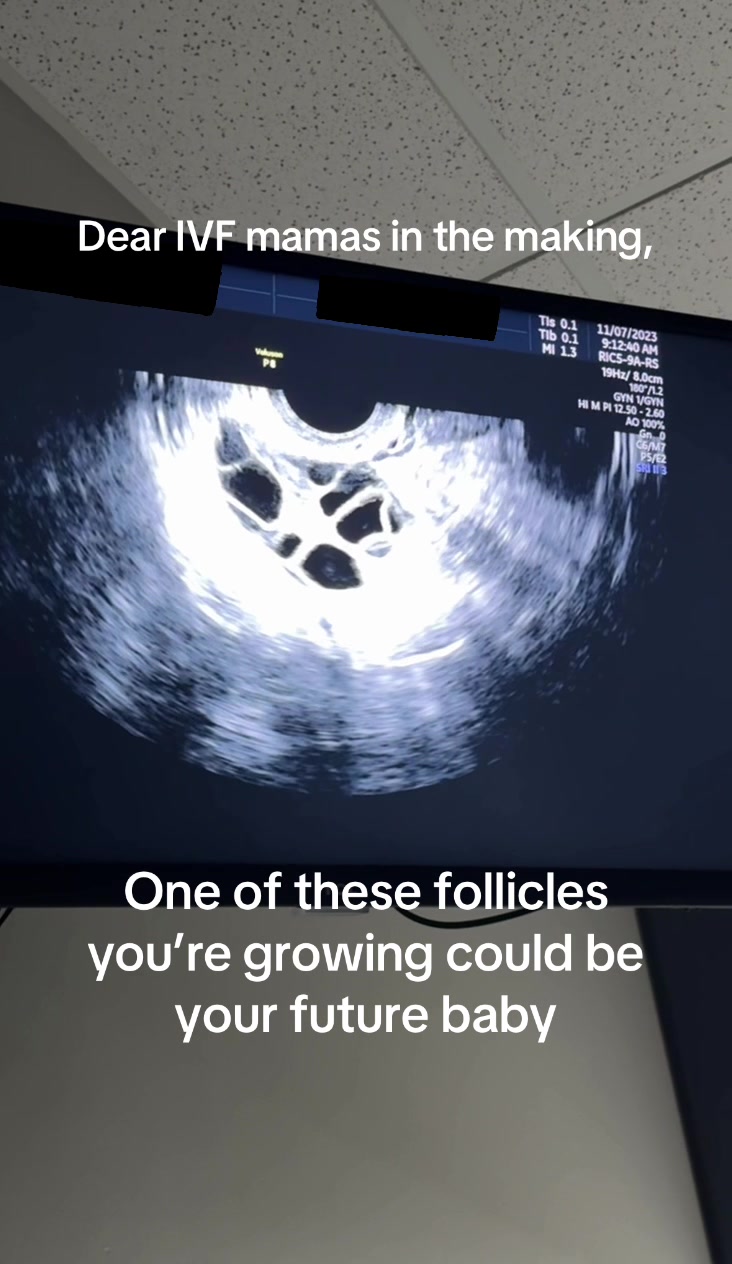 @Megan | 412Fertility | IVF 💉