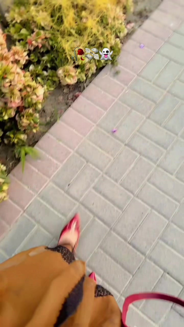 @&Scaron;Ž💸🥀👑