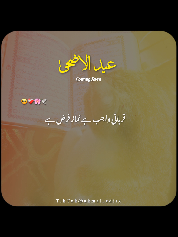@𝐀𝐤𝐦𝐚𝐥_𝐄𝐝𝐢𝐭𝐱