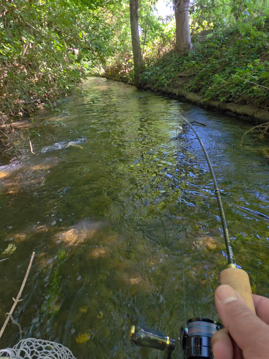 @BF Angler