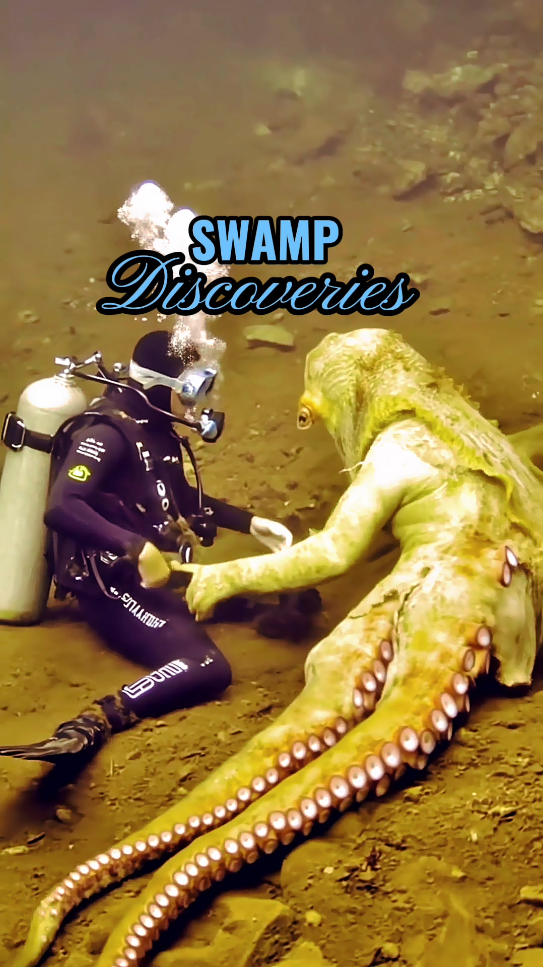 @SwampDiscoveries