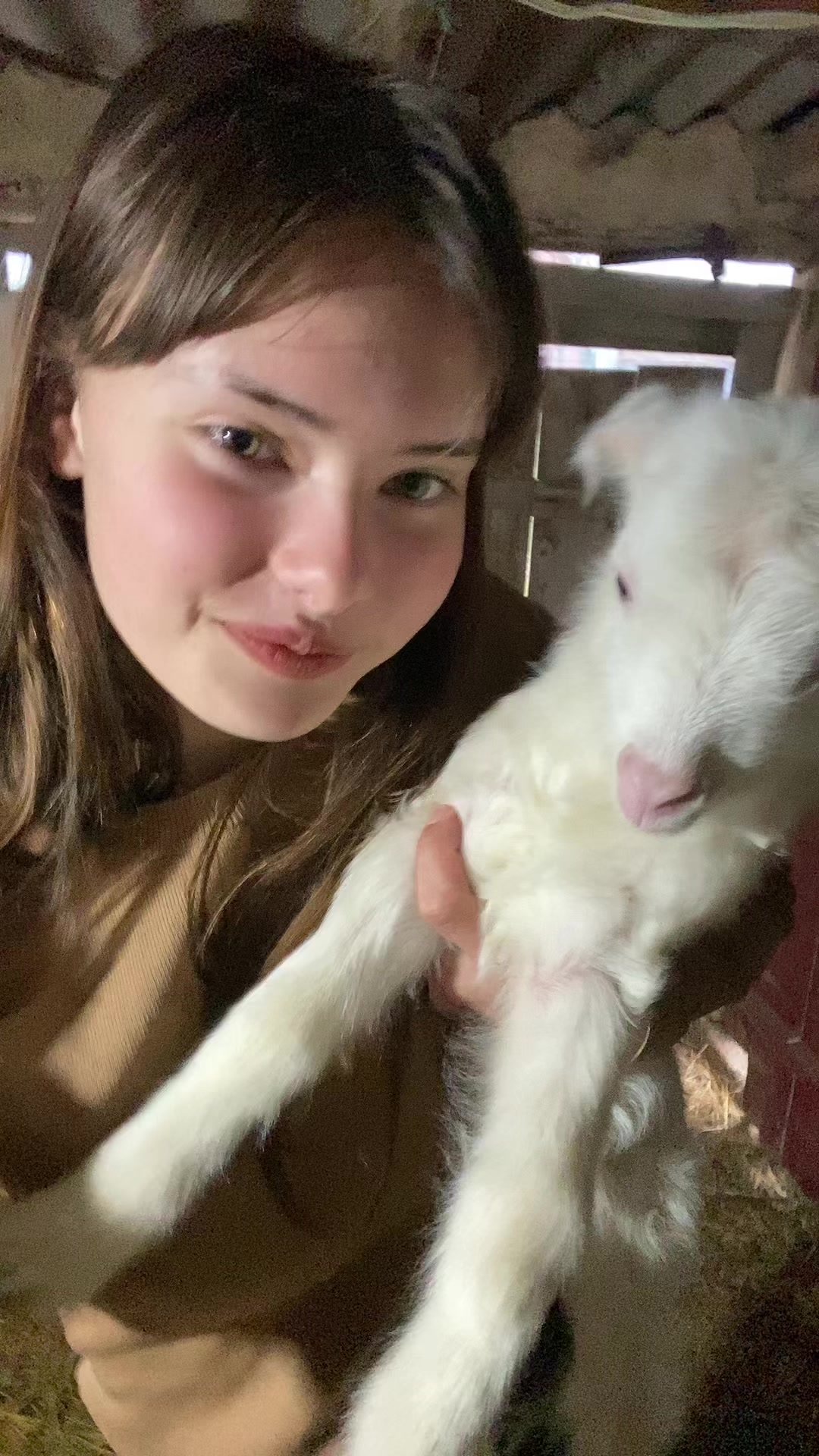 @Миэль🌺
