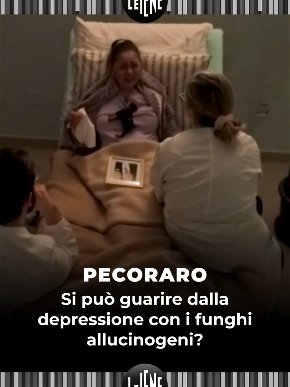 @redazioneiene