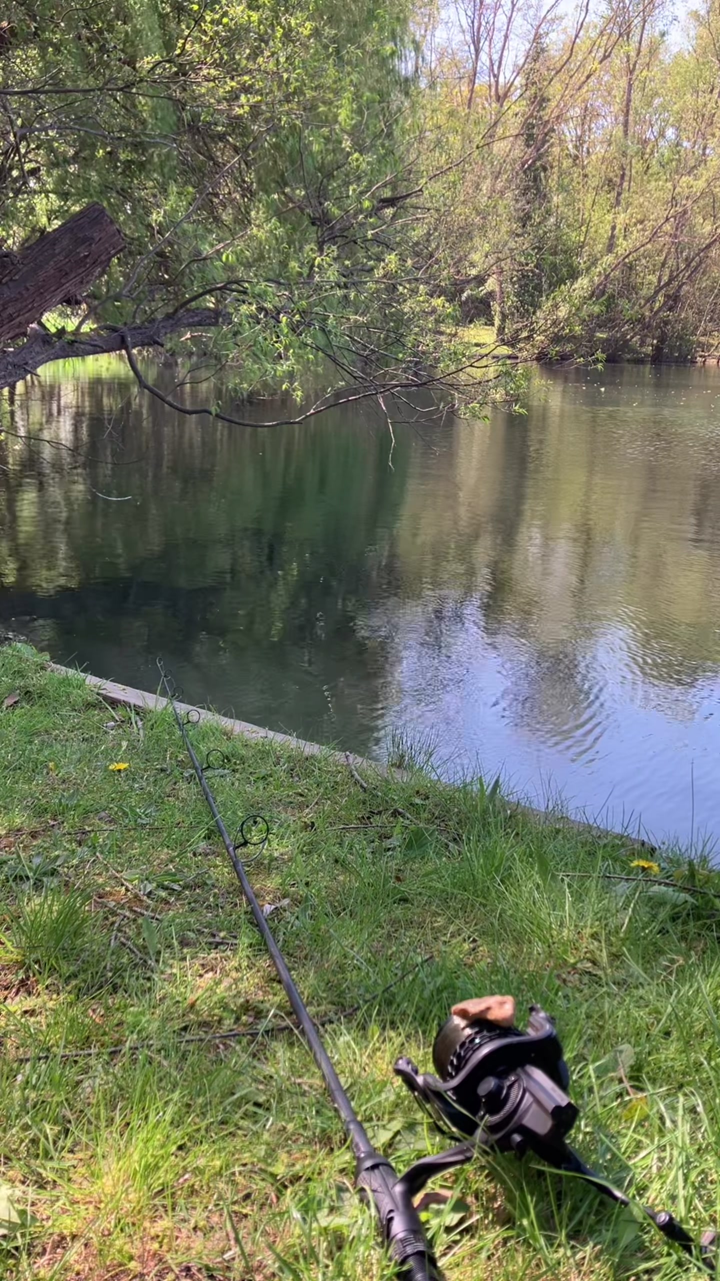 @Nash Tackle