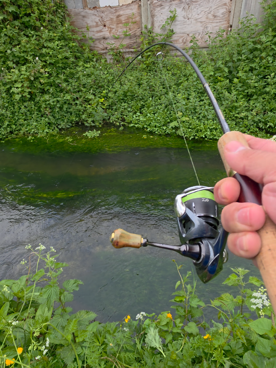 @BF Angler