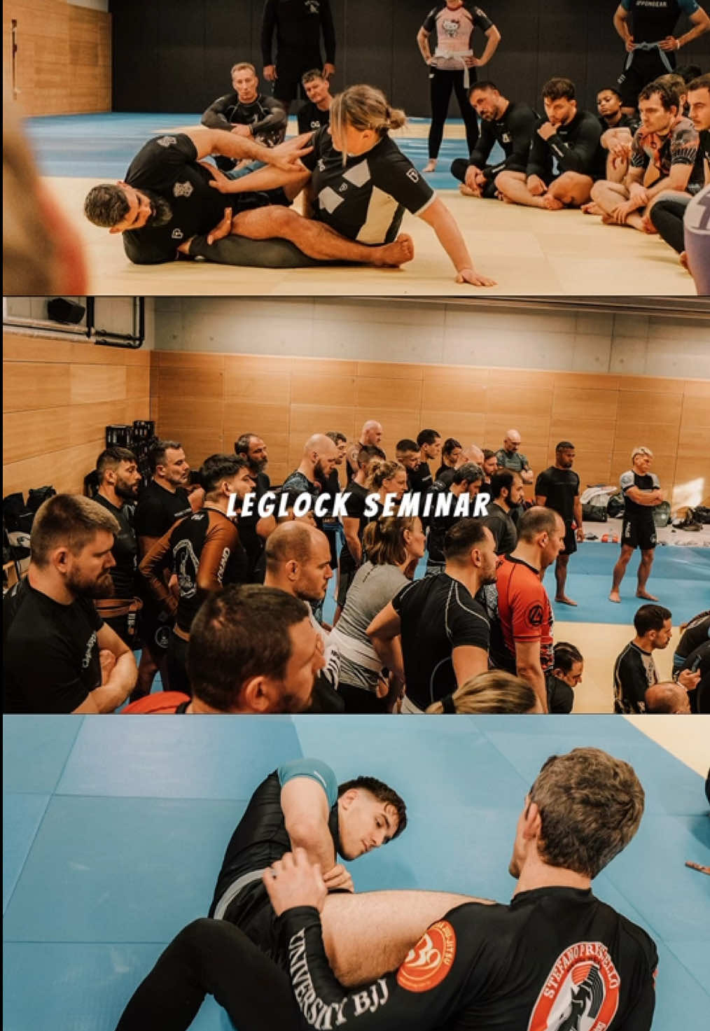 @Abelbjj